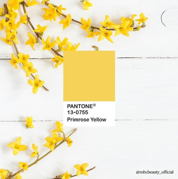 Pantone 13-0755 Primrose Yellow